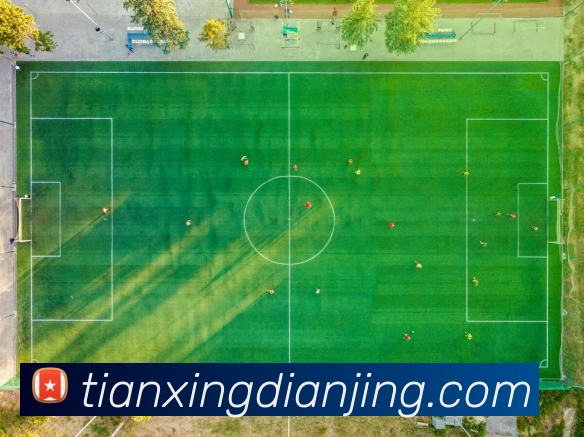 天行电竞官网APP 体育赛事宣传图